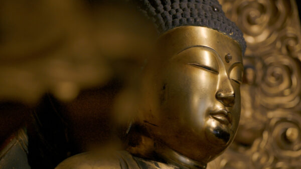 瞑想とは仏教版SFである